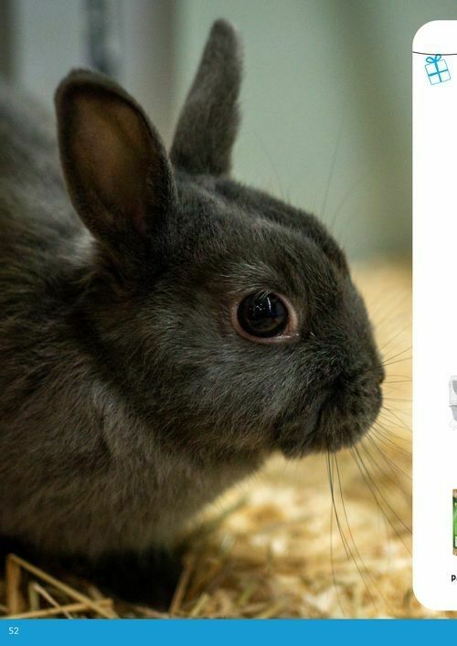 Pets Domain Catalogues from 1 October