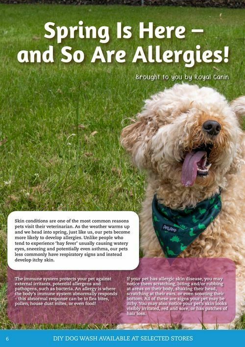 Pets Domain Catalogues from 1 October