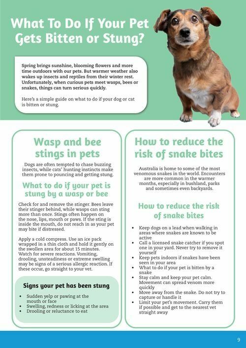 Pets Domain Catalogues from 1 October