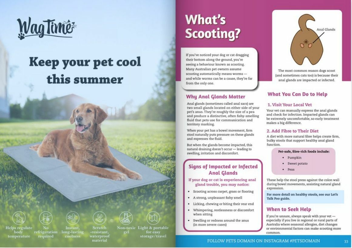 Pets Domain Catalogues from 5 January