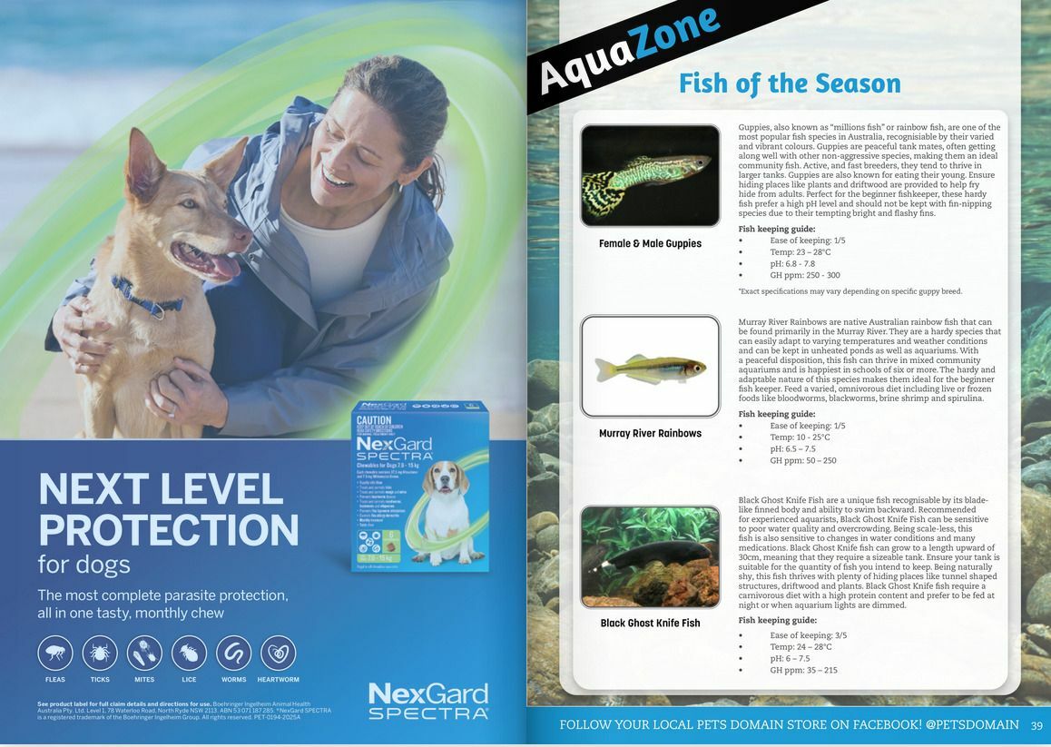 Pets Domain Catalogues from 5 January