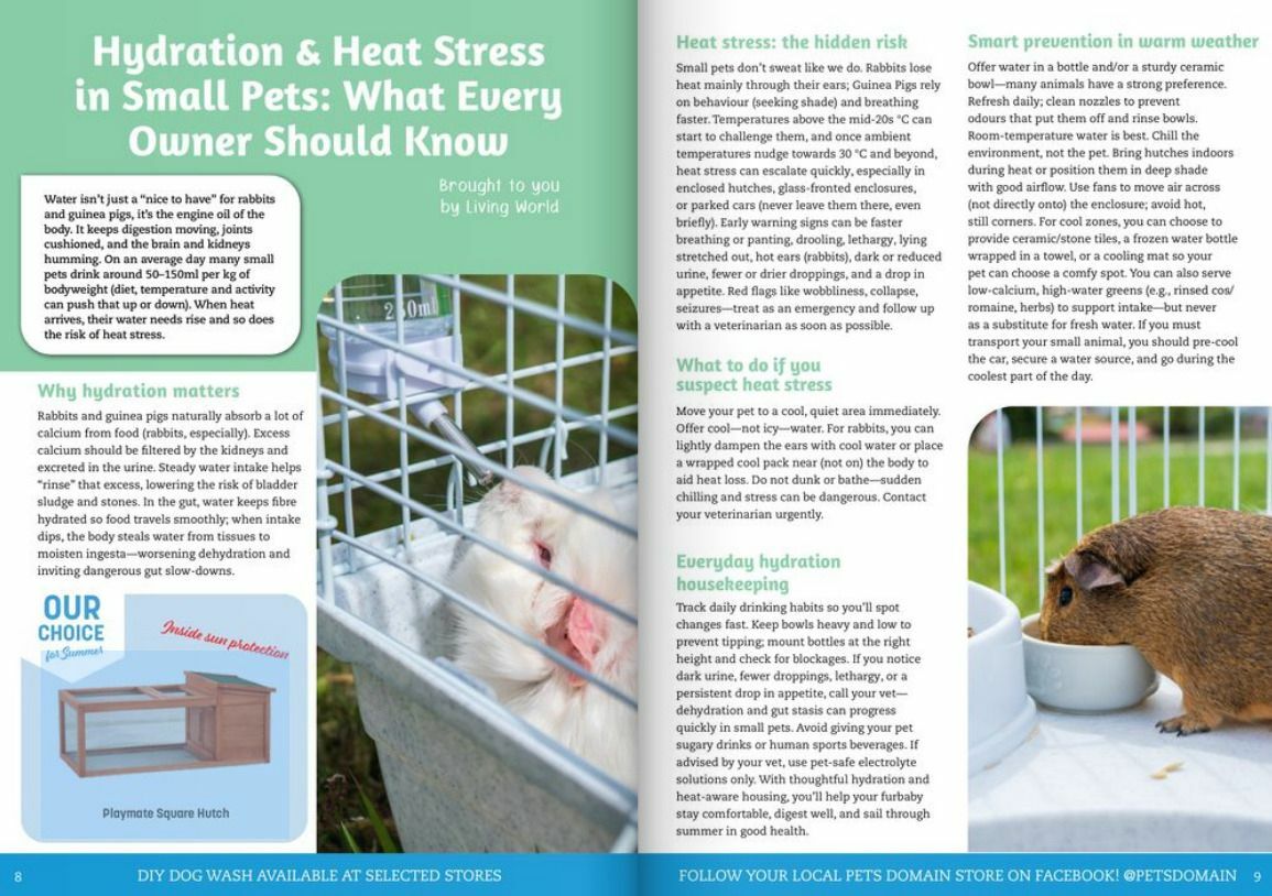 Pets Domain Catalogues from 5 January