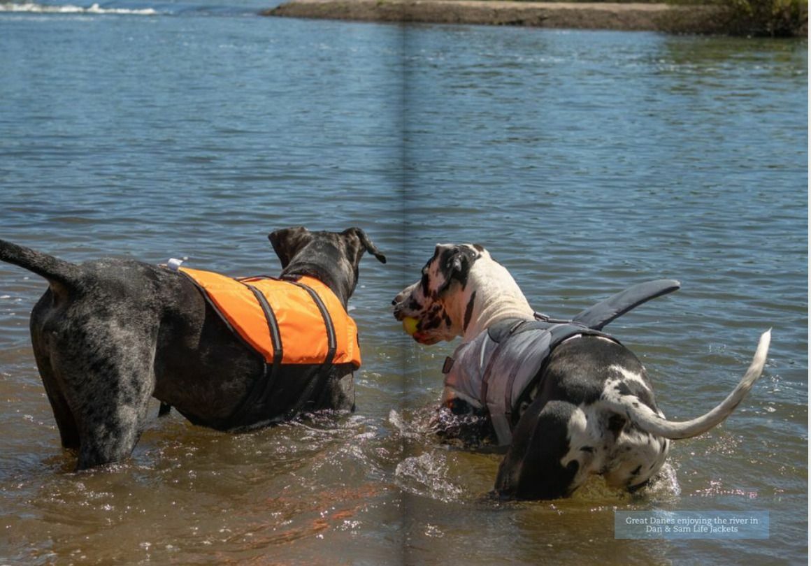 Pets Domain Catalogues from 5 January