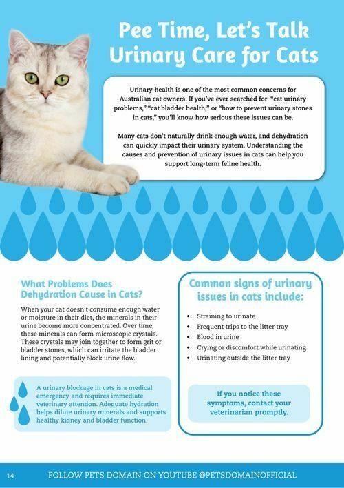 Pets Domain Catalogues from 1 April