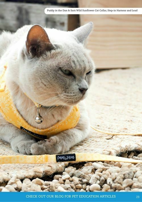 Pets Domain Catalogues from 1 April