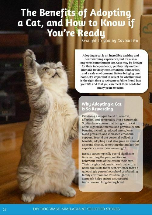 Pets Domain Catalogues from 1 April