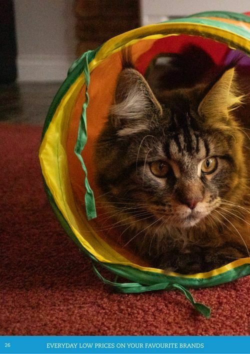 Pets Domain Catalogues from 1 April