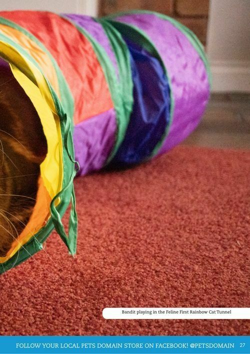 Pets Domain Catalogues from 1 April