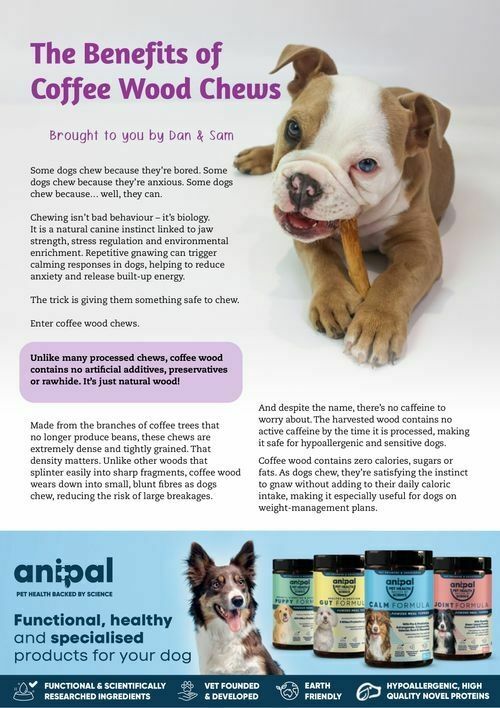 Pets Domain Catalogues from 1 April