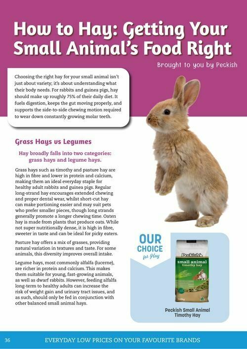 Pets Domain Catalogues from 1 April