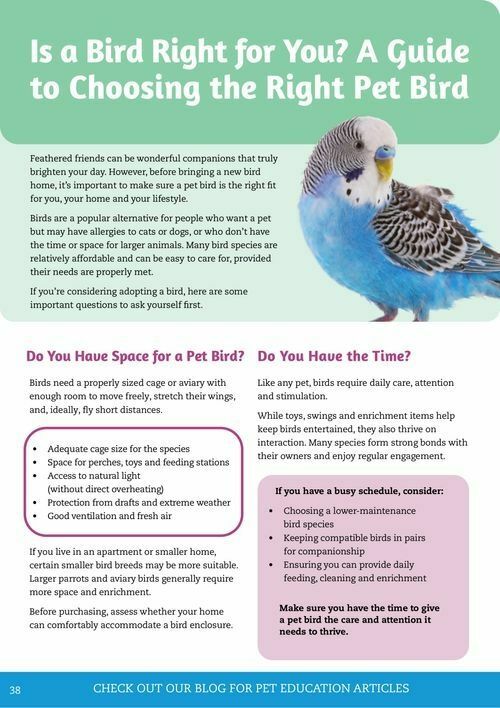 Pets Domain Catalogues from 1 April