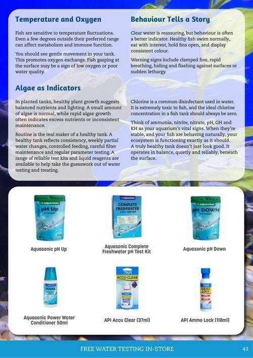 Pets Domain Catalogues from 1 April