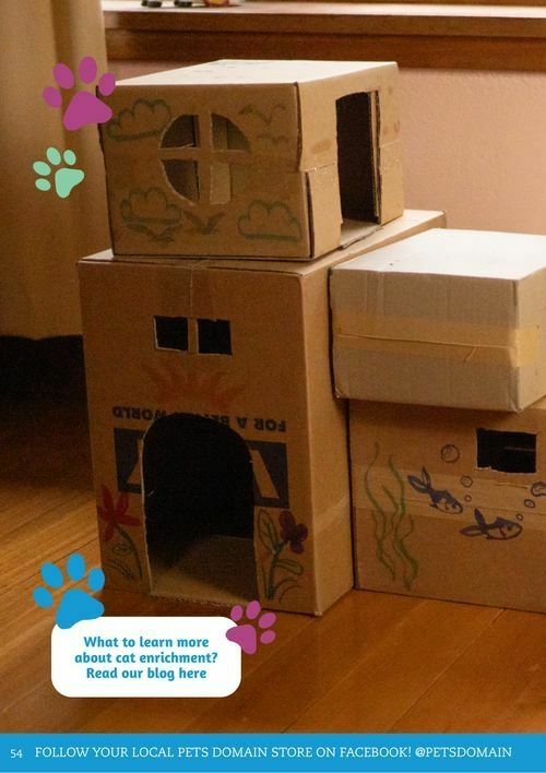 Pets Domain Catalogues from 1 April