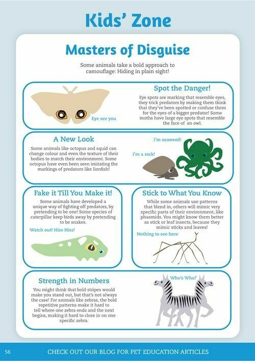 Pets Domain Catalogues from 1 April