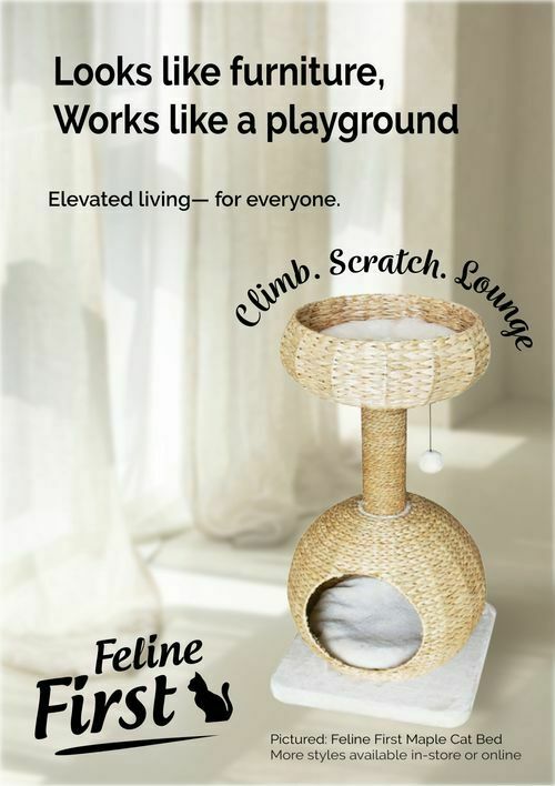 Pets Domain Catalogues from 1 April