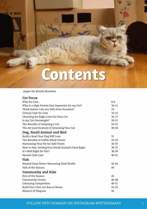 Pets Domain Catalogues from 1 April