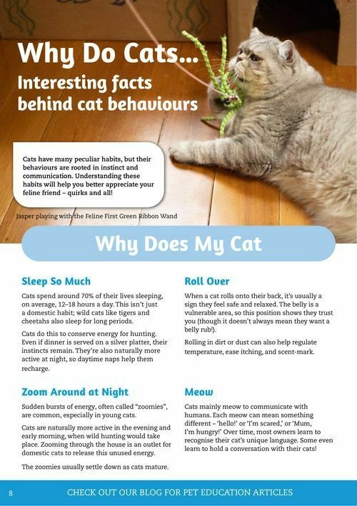 Pets Domain Catalogues from 1 April