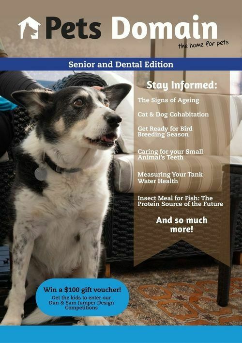 Pets Domain Catalogues from 1 July