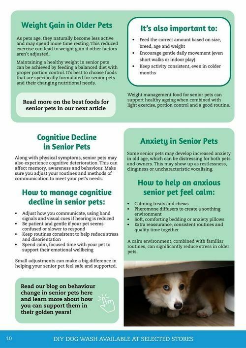 Pets Domain Catalogues from 1 July