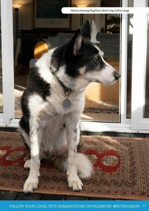 Pets Domain Catalogues from 1 July