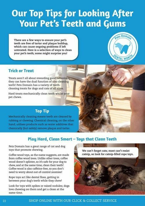 Pets Domain Catalogues from 1 July