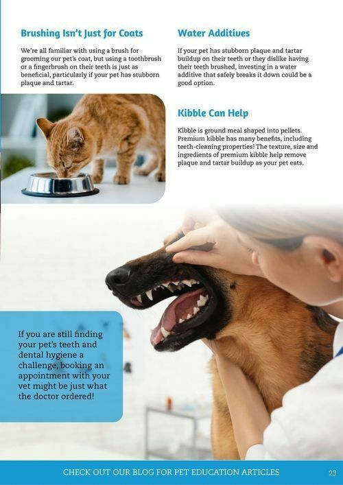 Pets Domain Catalogues from 1 July