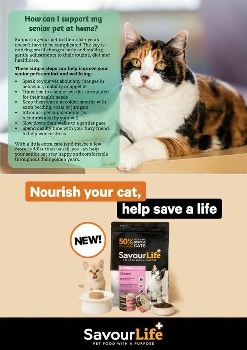 Pets Domain Catalogues from 1 July