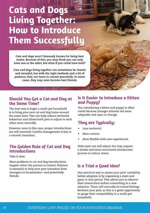 Pets Domain Catalogues from 1 July