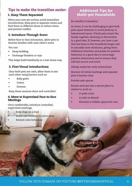 Pets Domain Catalogues from 1 July