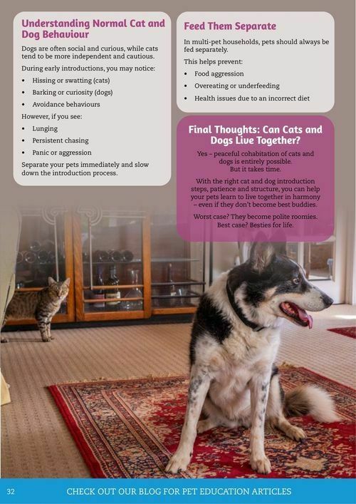 Pets Domain Catalogues from 1 July