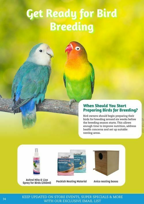 Pets Domain Catalogues from 1 July