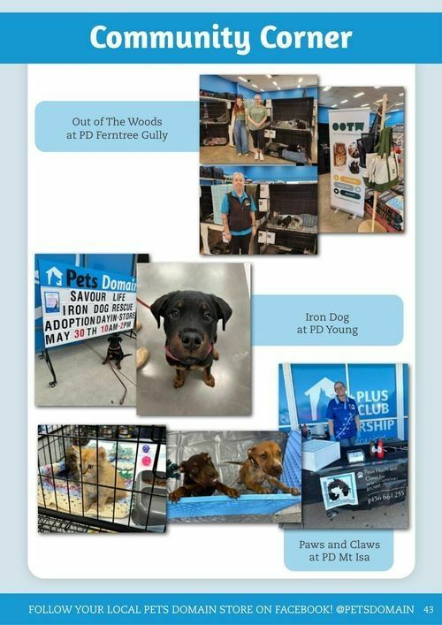 Pets Domain Catalogues from 1 July