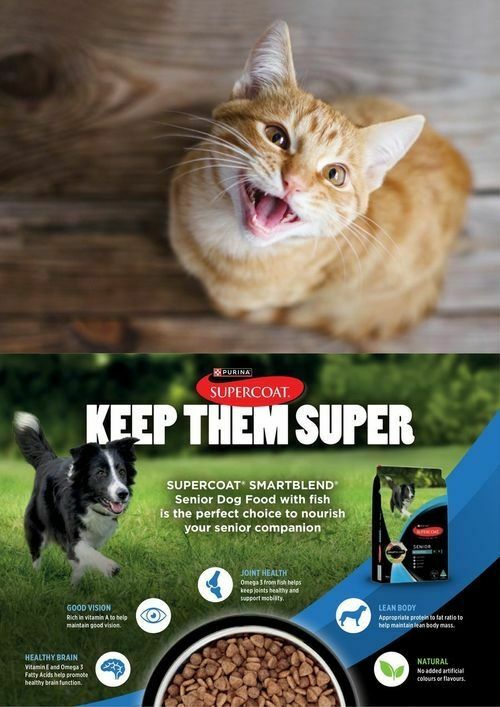 Pets Domain Catalogues from 1 July
