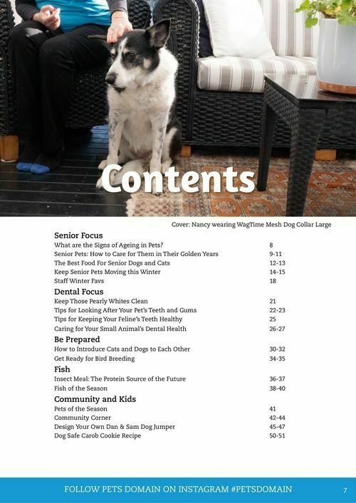 Pets Domain Catalogues from 1 July