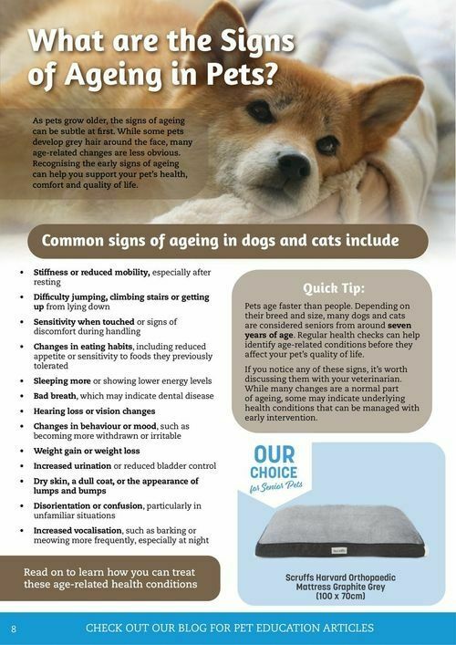 Pets Domain Catalogues from 1 July