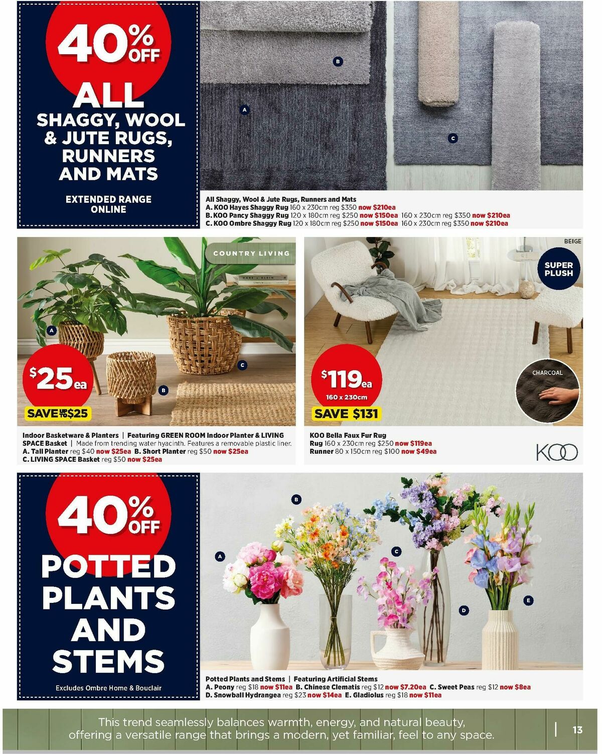 Spotlight Catalogues from 6 March