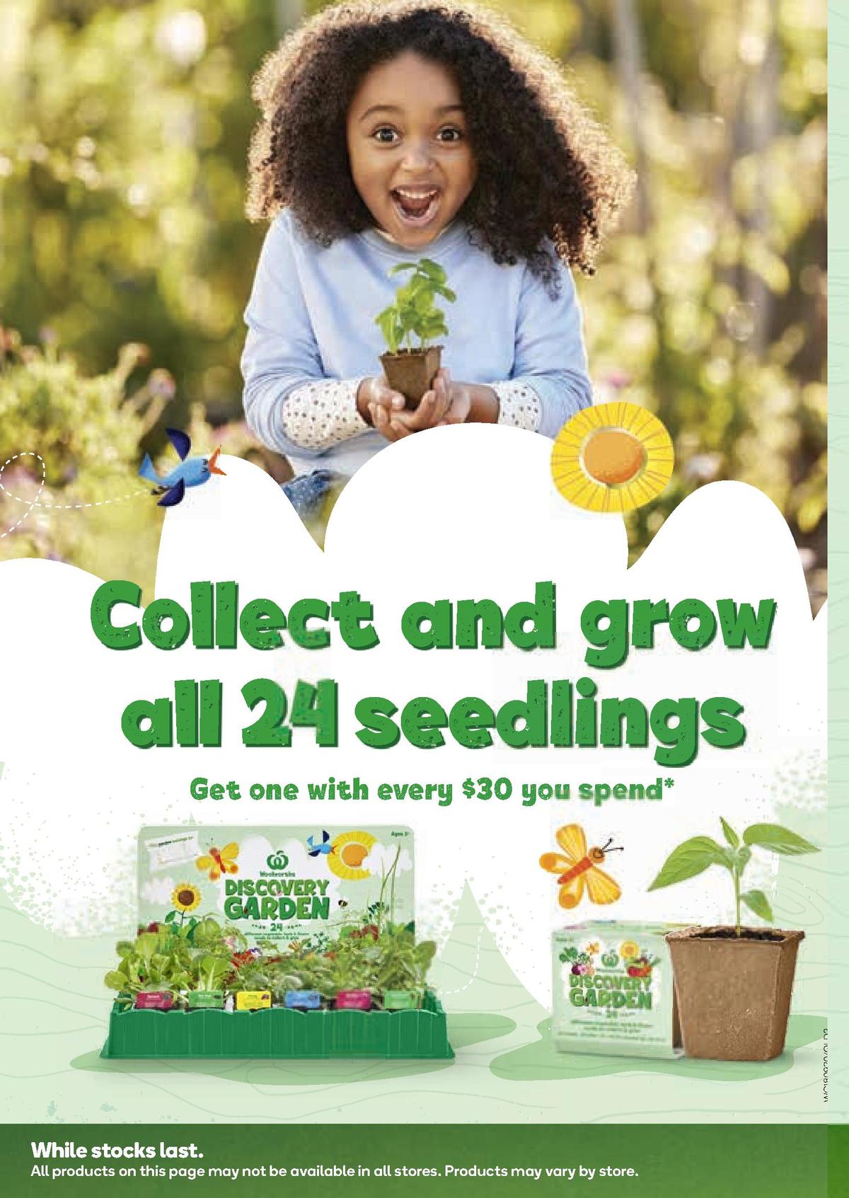 Woolworths Catalogues from 18 September