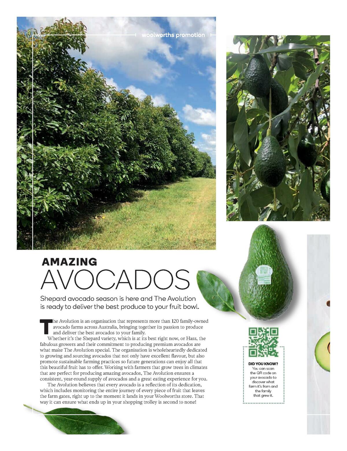 Woolworths Magazine April Catalogues from 1 April