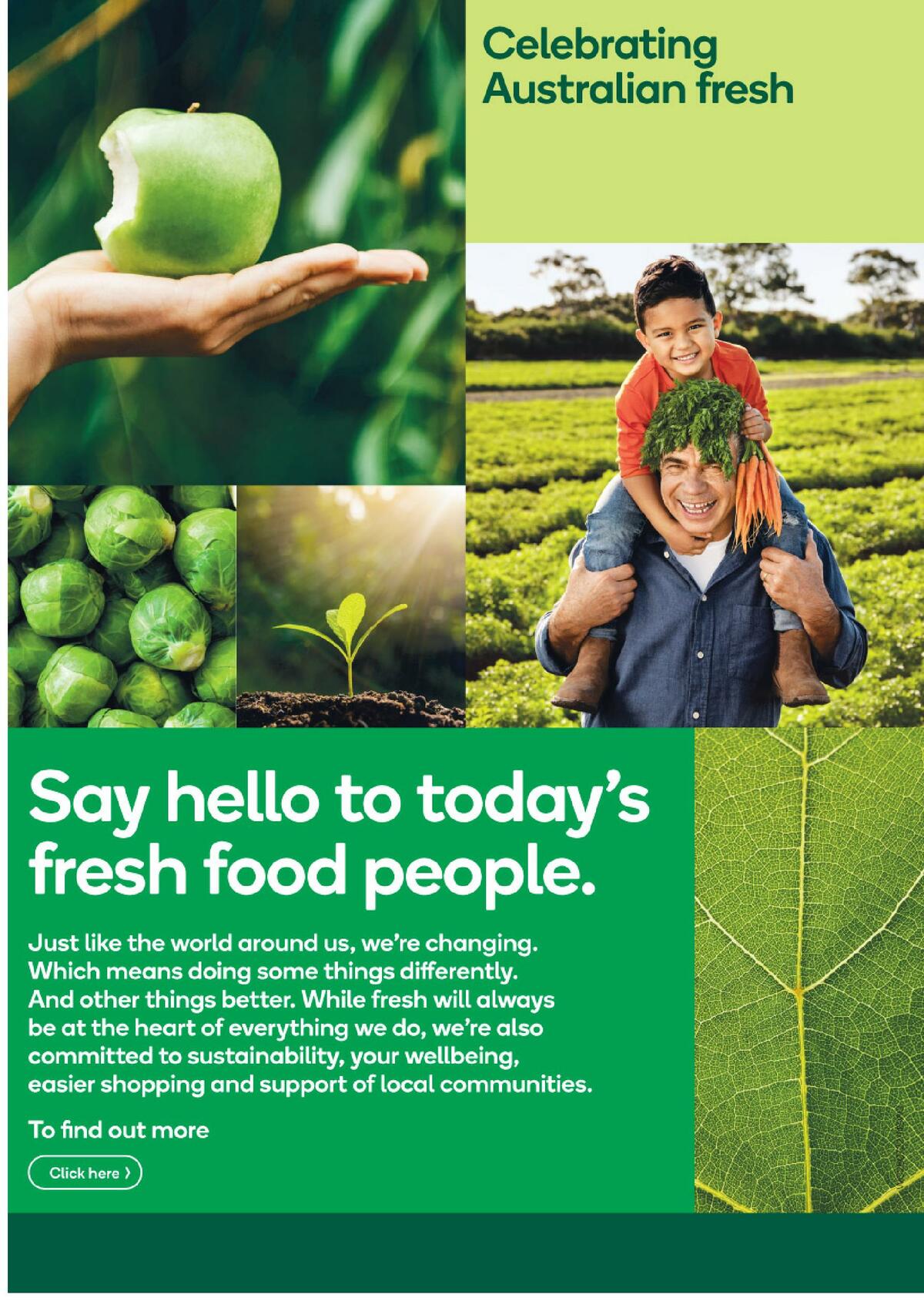 Woolworths Catalogues from 28 July