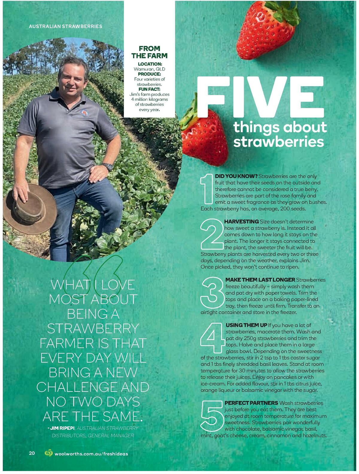 Woolworths Magazine August Catalogues from 1 August