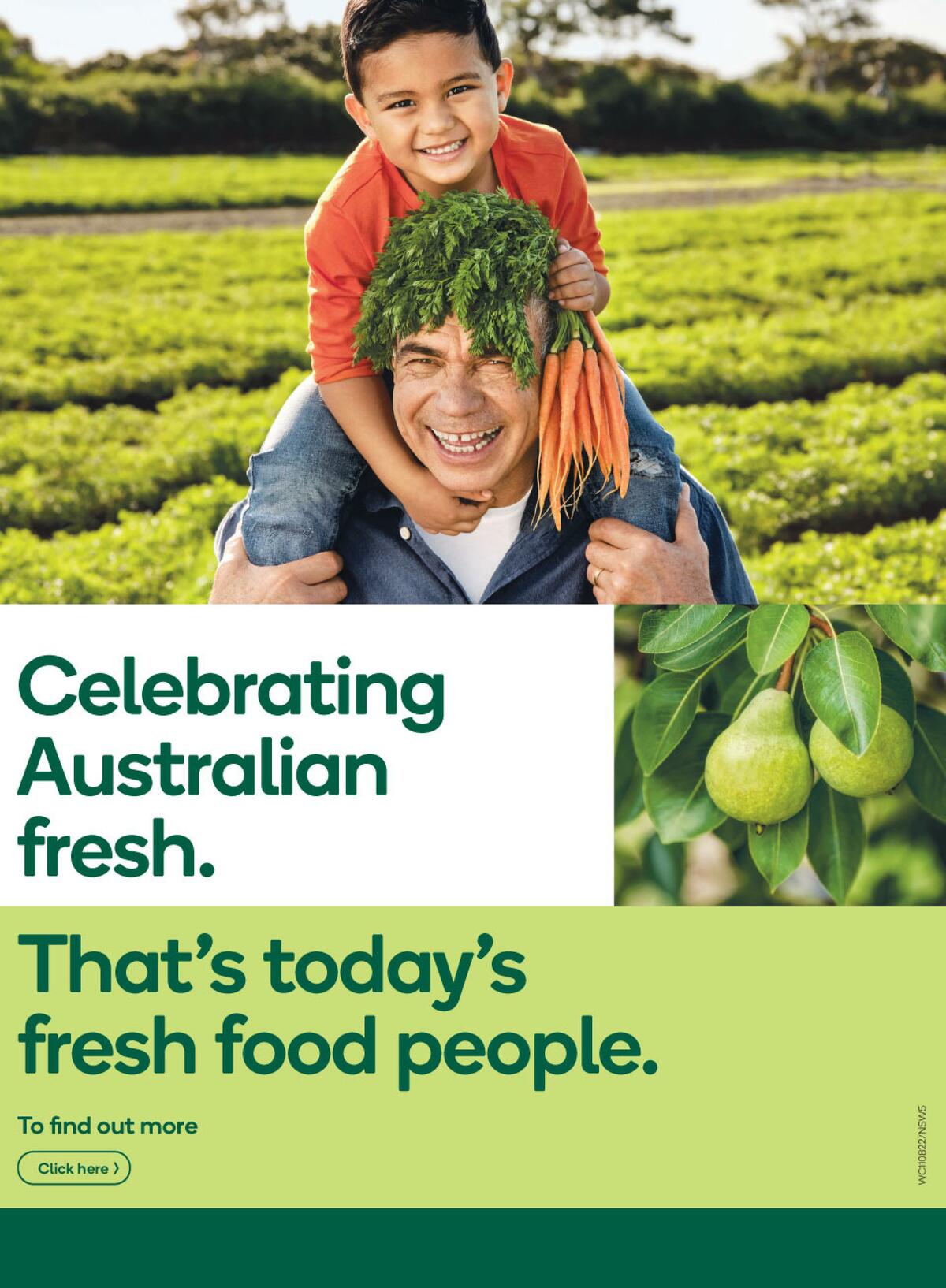 Woolworths Catalogues from 11 August