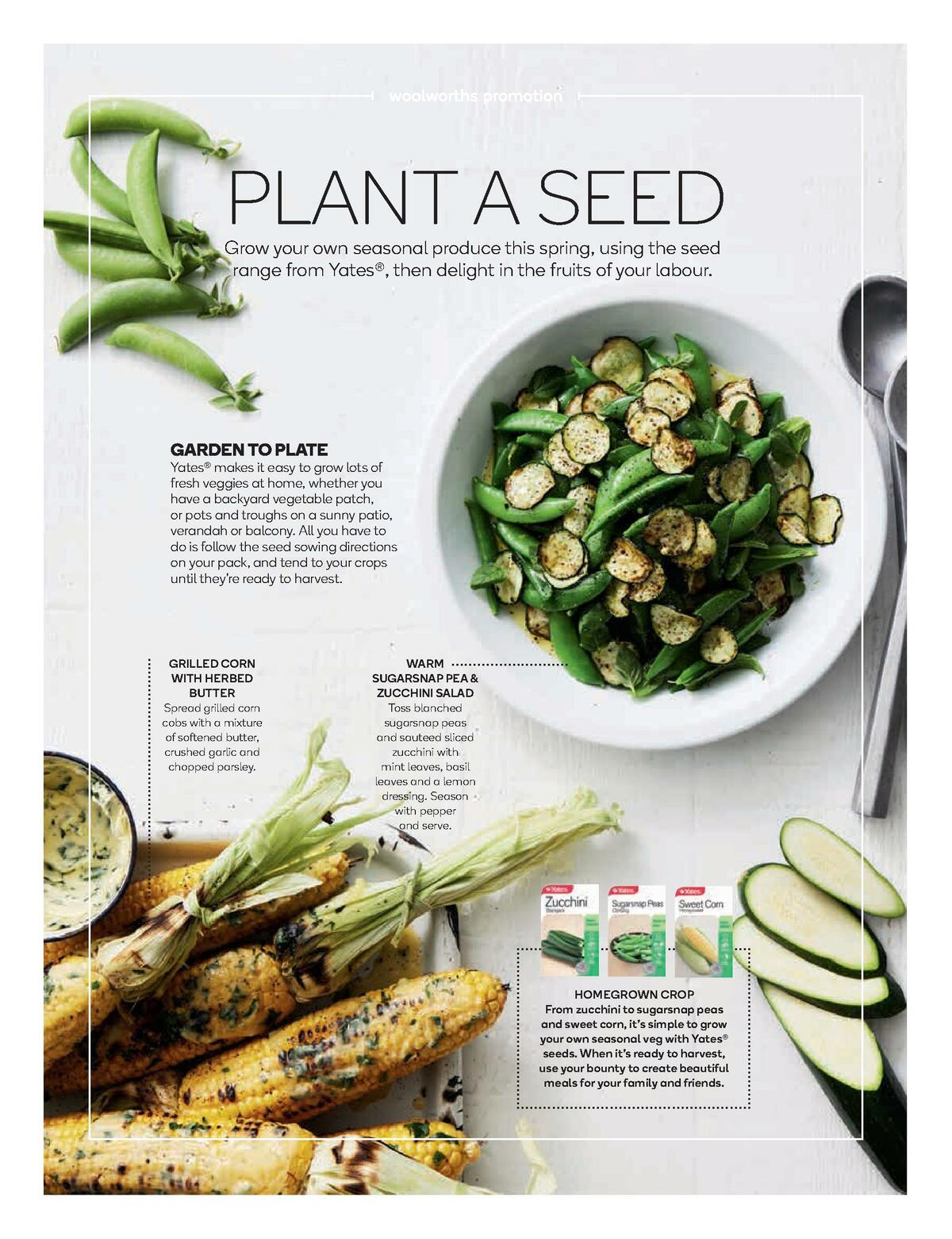 Woolworths Magazine September Catalogues from 1 September