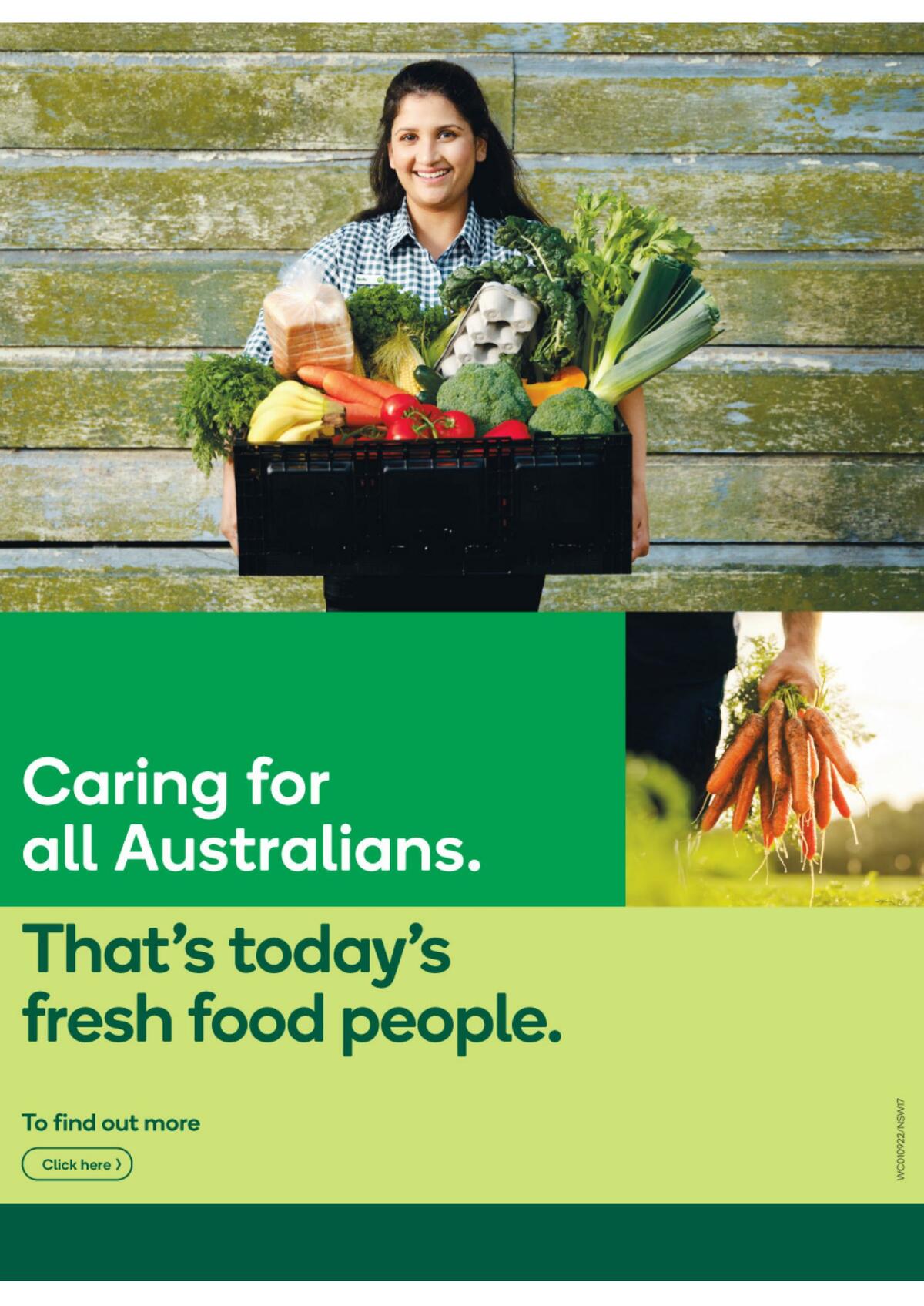 Woolworths Catalogues from 1 September