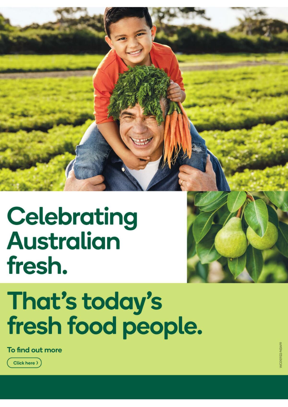 Woolworths Catalogues from 1 September