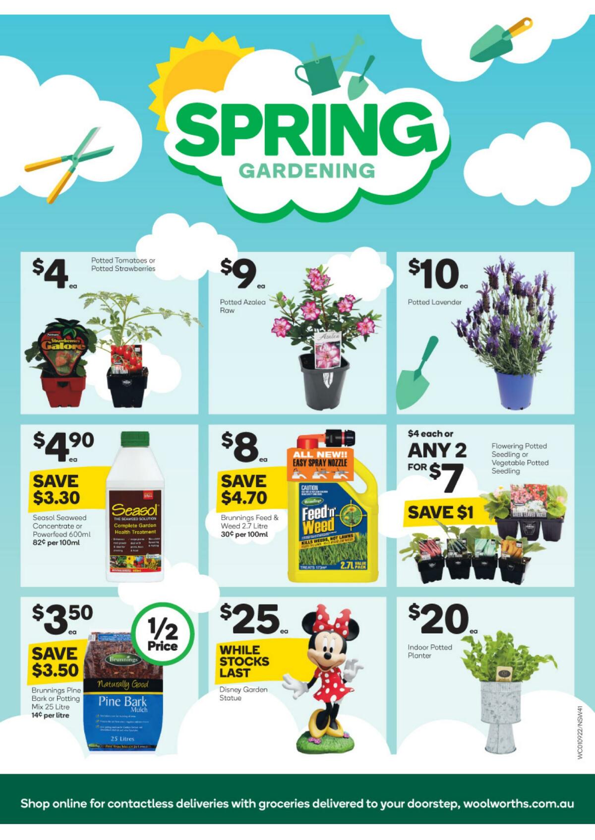 Woolworths Catalogues from 1 September
