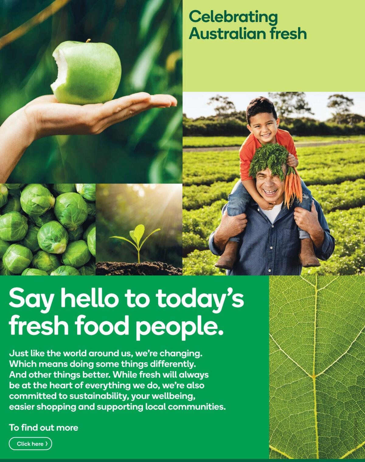 Woolworths Catalogues from 8 September