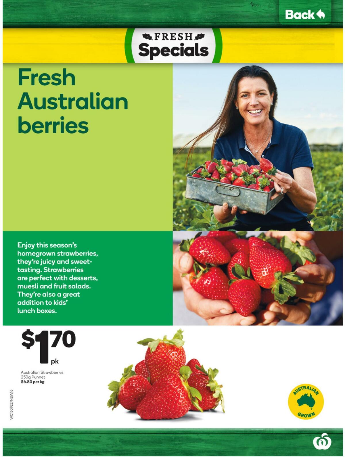Woolworths Catalogues from 15 September