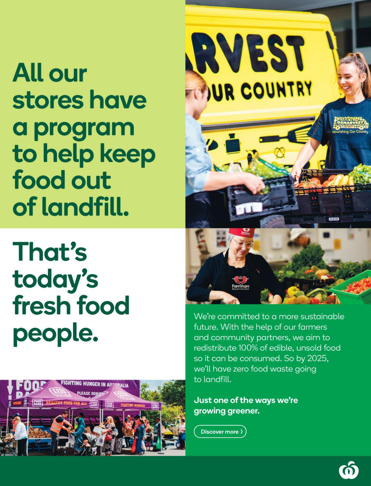 Woolworths Catalogues from 3 November