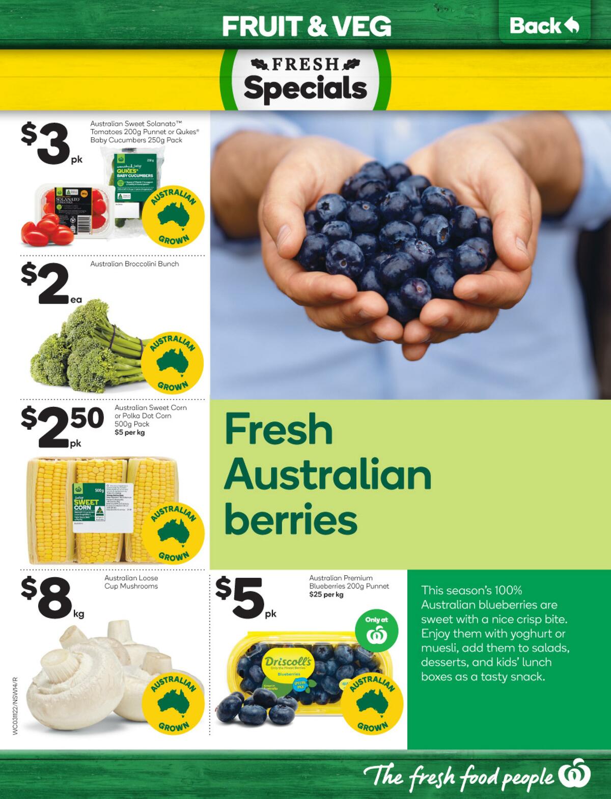 Woolworths Catalogues from 3 November