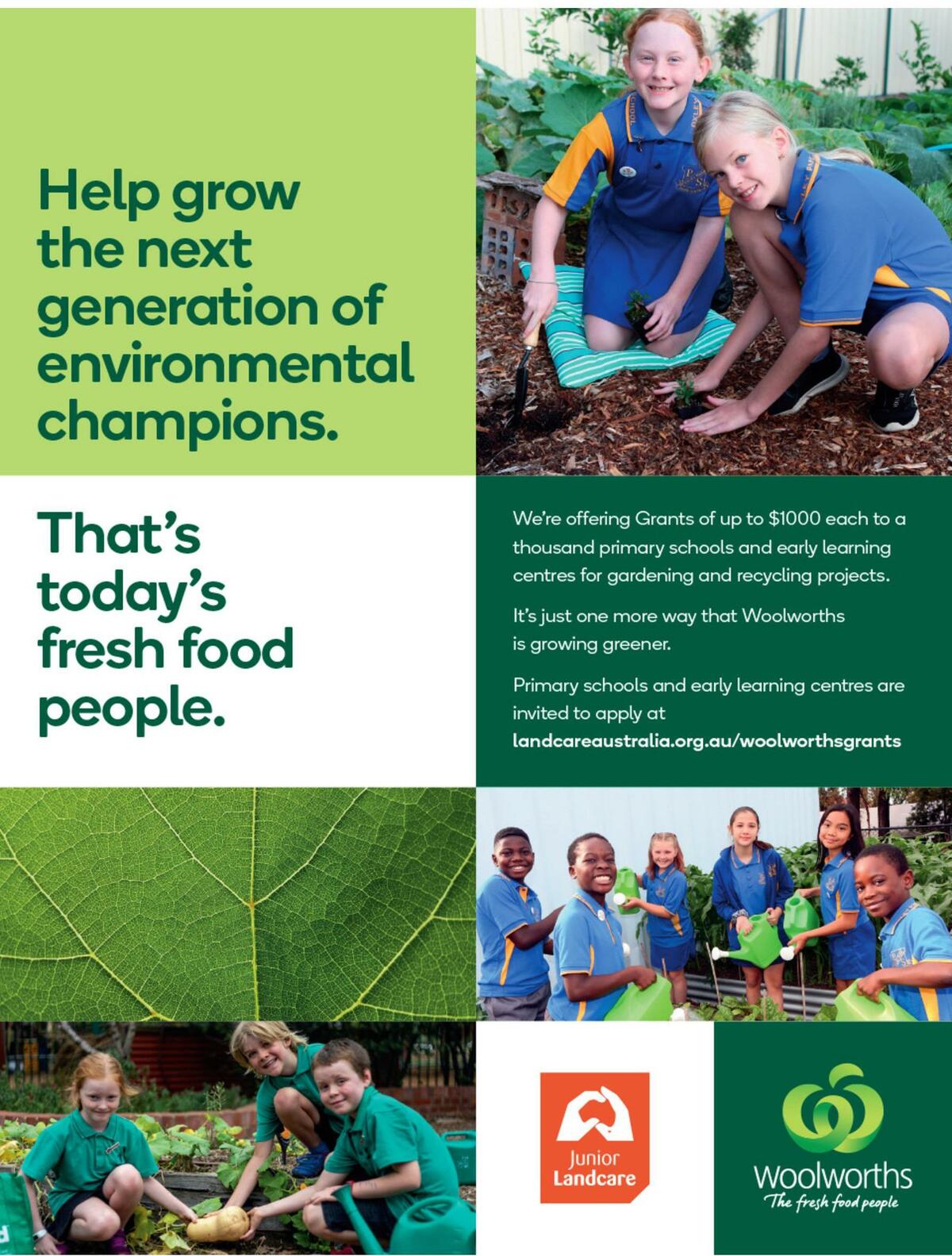 Woolworths Magazine March Catalogues from 1 March